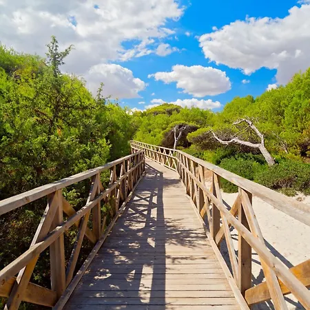 Apartment Son Baulo Sindria Can Picafort (Mallorca)